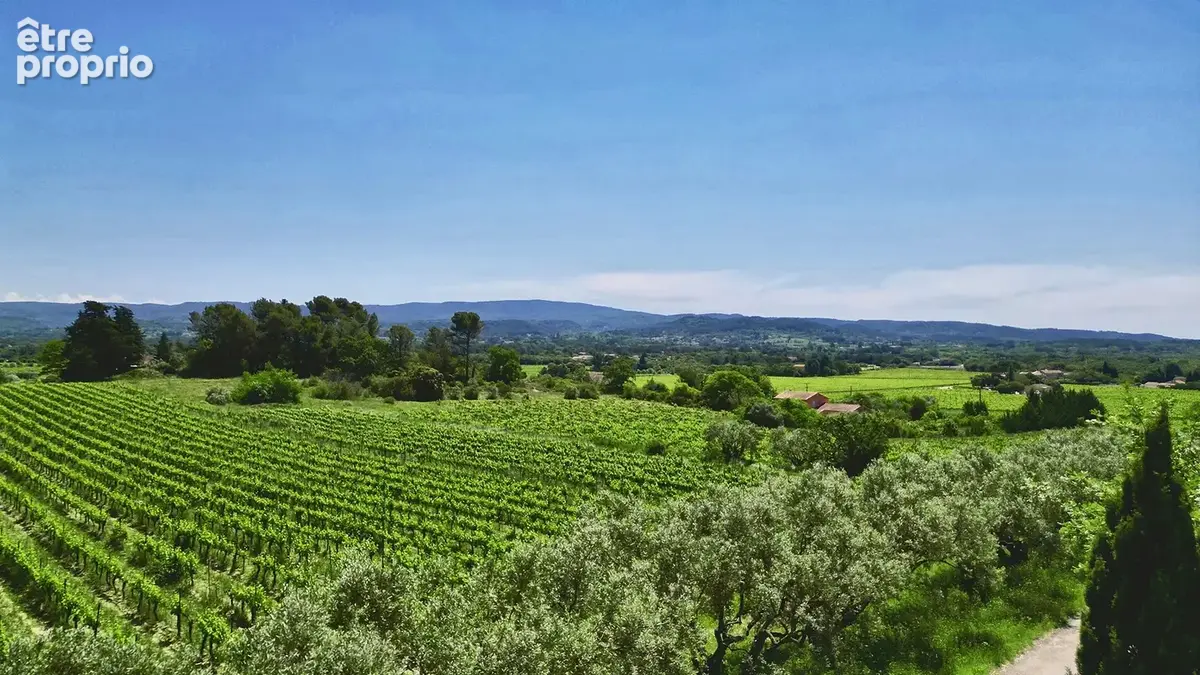 Ventoux   Domaine viticole de renom sur 18 ha - intimiste et vue dominante - photo 18