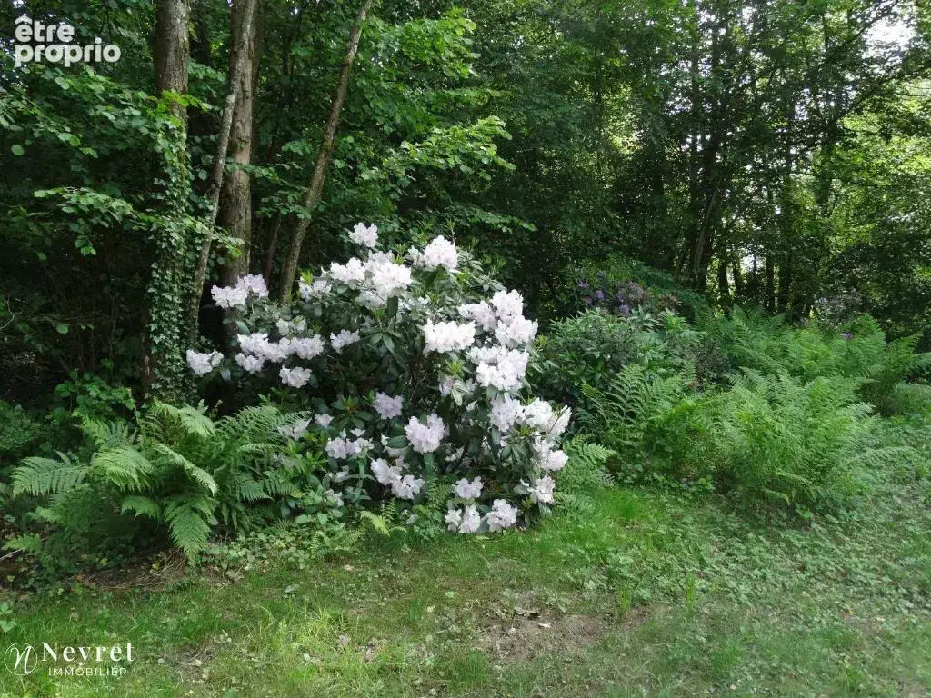 Propriété composée de cinq chalets et deux étangs - photo 6