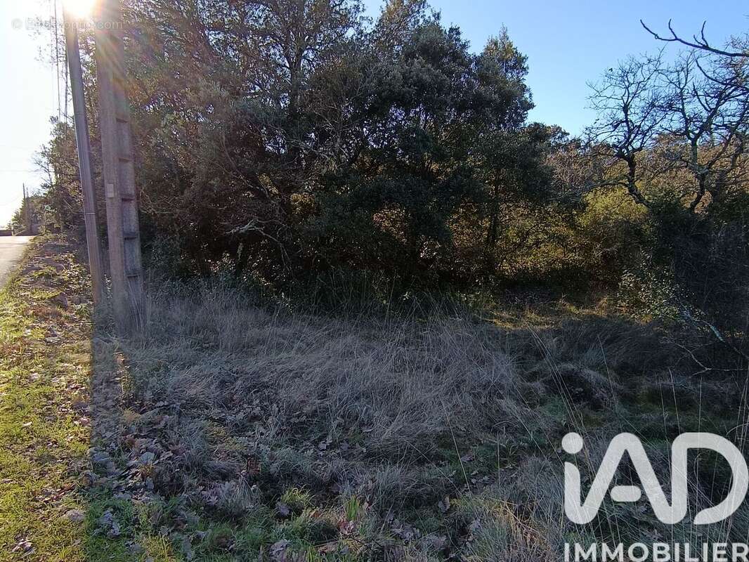Photo 3 - Terrain à LES VANS