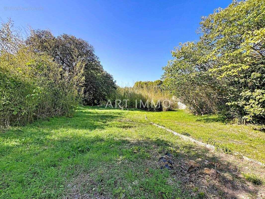 Terrain à CAVAILLON