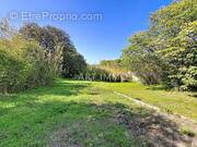 Terrain à CAVAILLON