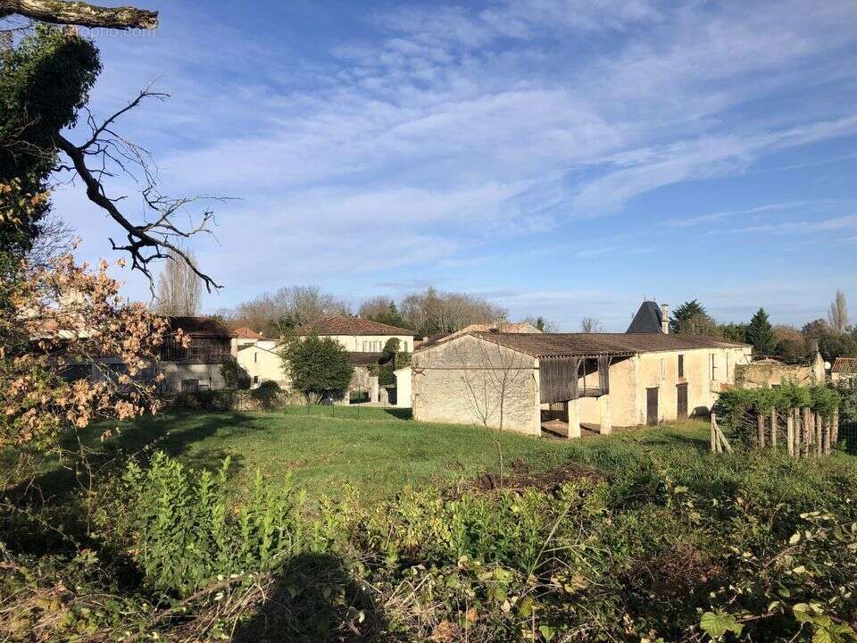 TERRAIN CONSTRUCTIBLE NON VIABILISE 655 m2 2ème LIGNE - Terrain à VERTHEUIL