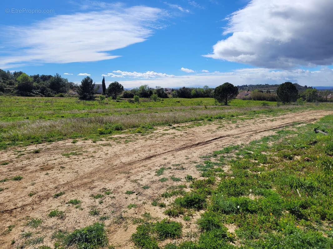 Terrain à SALLES-D'AUDE