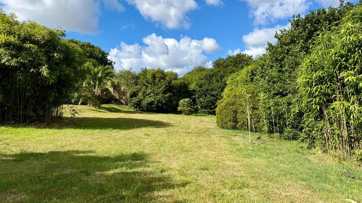 Corps de ferme - 116,14 m2 - terrain de 2400 m2 - GUILERS - photo 11