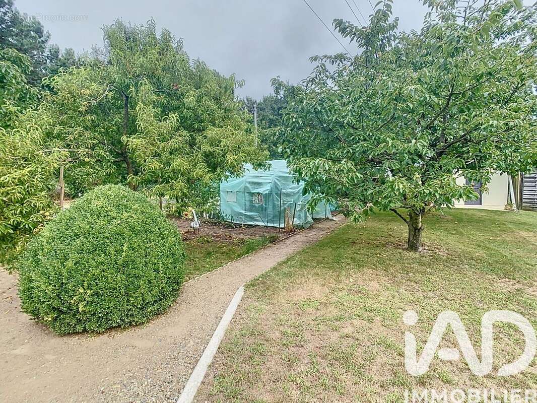 Photo 7 - Maison à ARNAGE