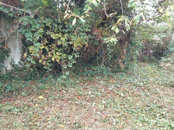 Appartement à CERCY-LA-TOUR