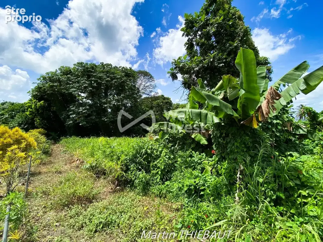 Photo Terrain à Le Lamentin au prix de 97 200€