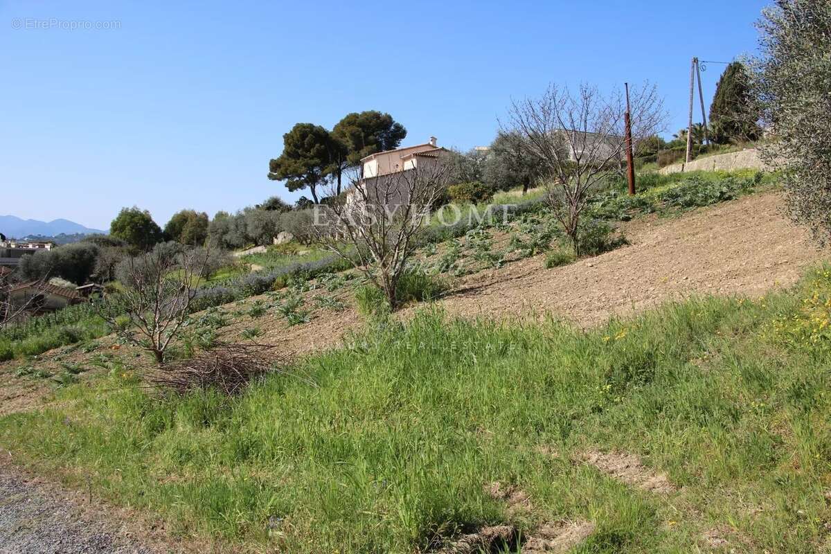 Terrain à LE CANNET