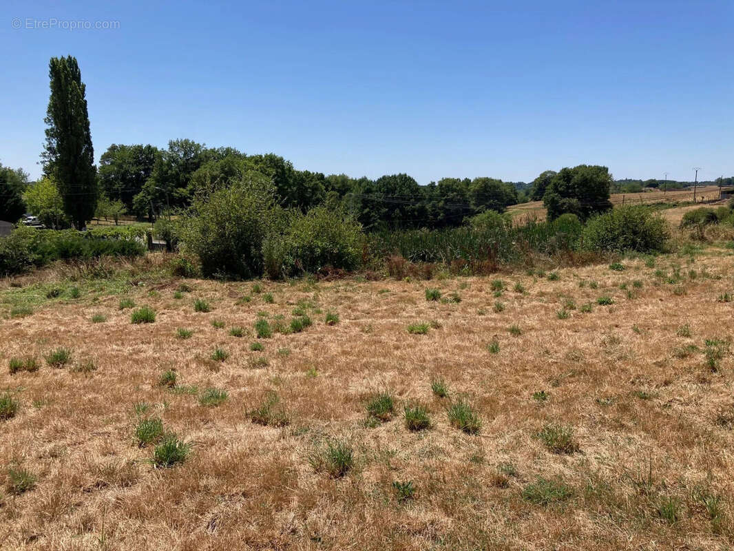 Terrain à THIVIERS