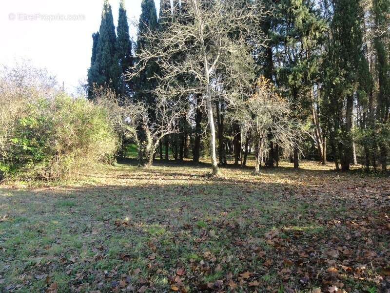 Terrain à VILLEPINTE