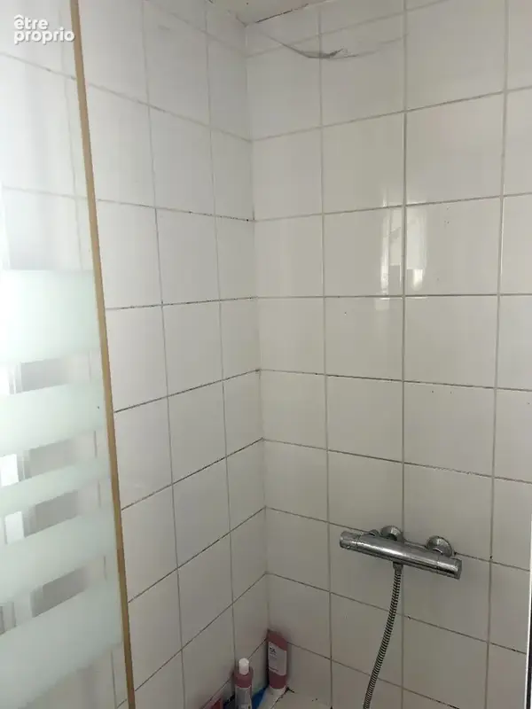 Maison 265m² à fenouillet - photo 12