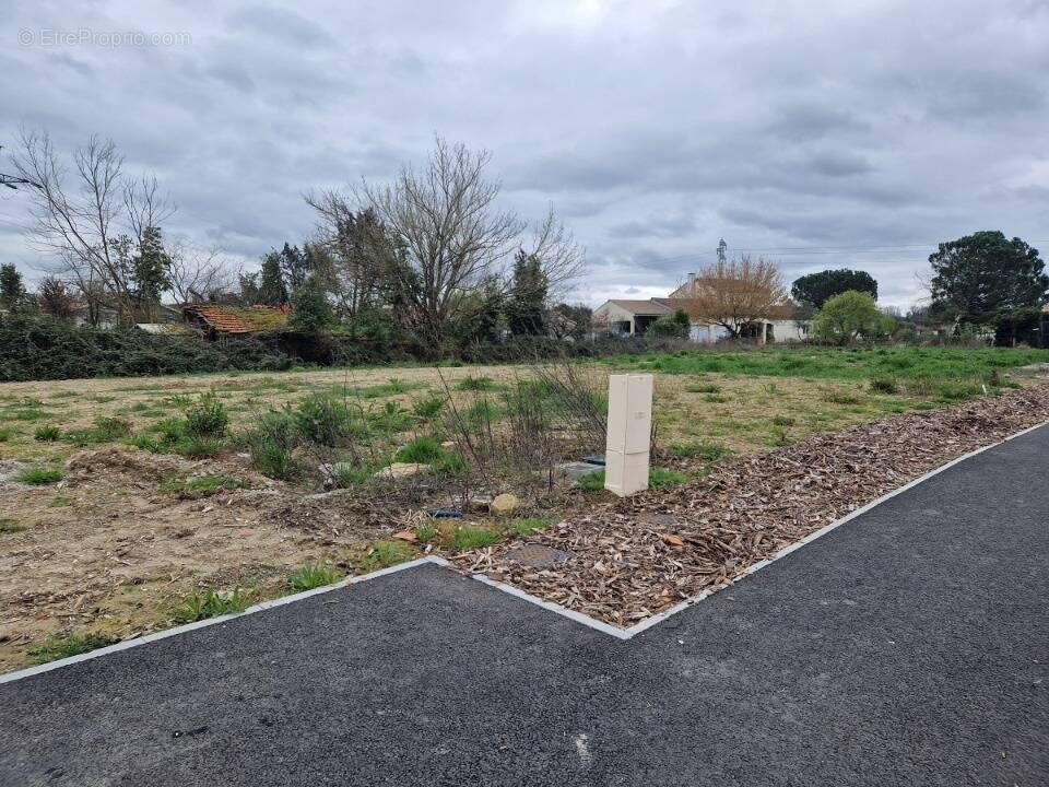 Terrain à SAINTE-EULALIE