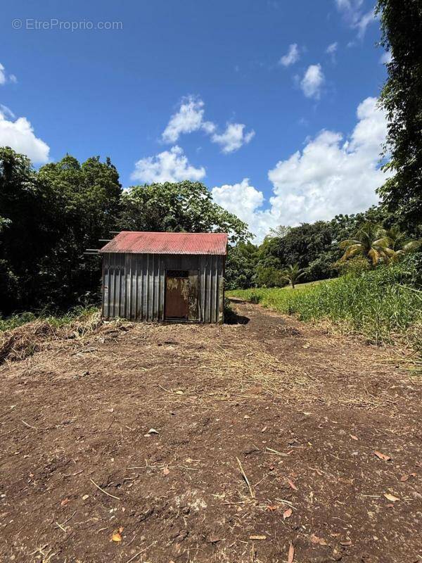 Terrain à LE LAMENTIN