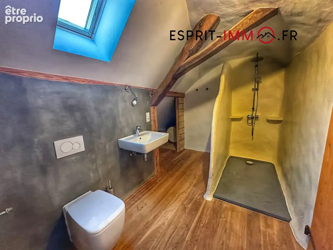 Maison de Maître, sans vis à vis ! - photo 15