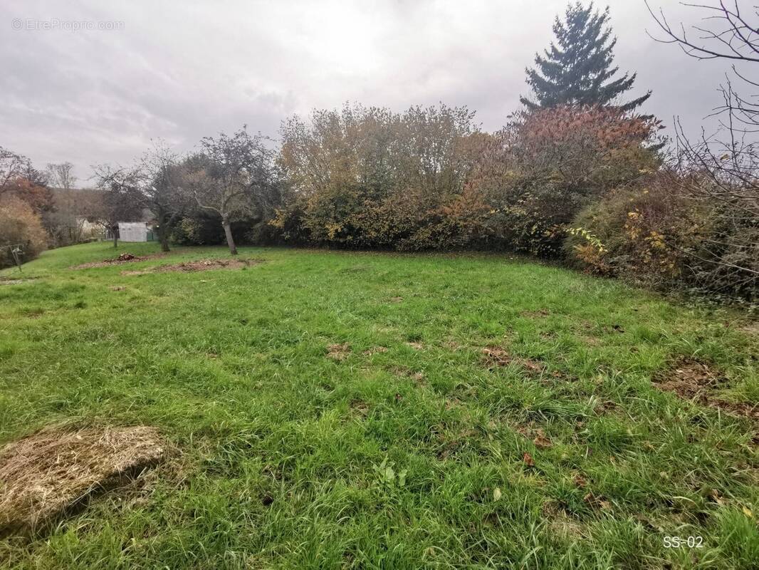 Terrain à EXCENEVEX