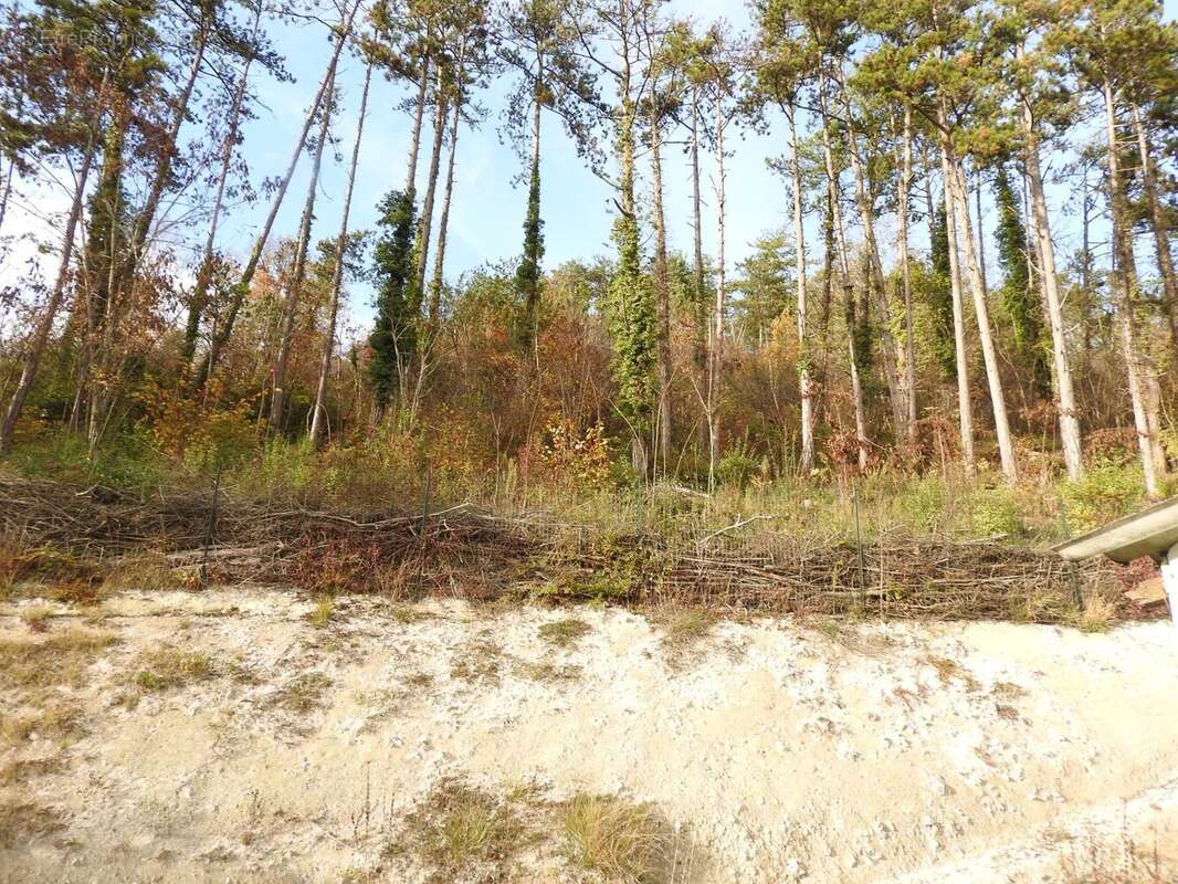 Photo 9 - Maison à IVRY-LA-BATAILLE