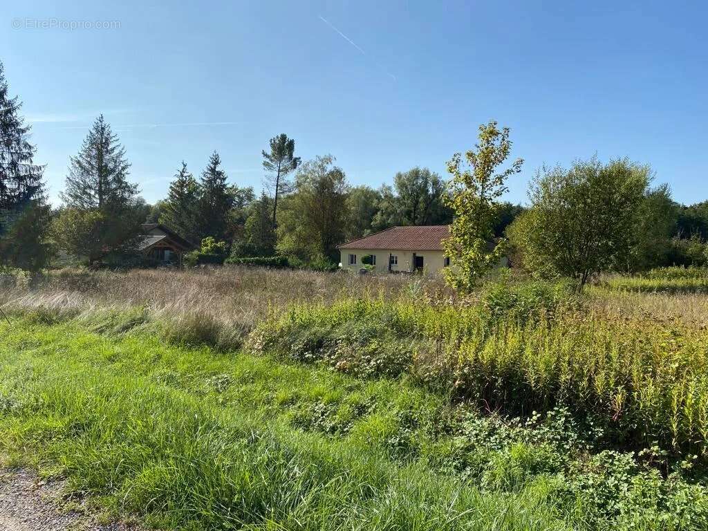 Terrain à TALISSIEU