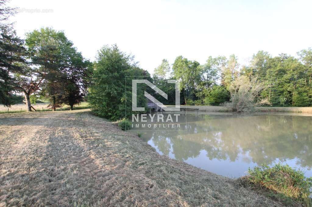Etang avec sources - photo 19