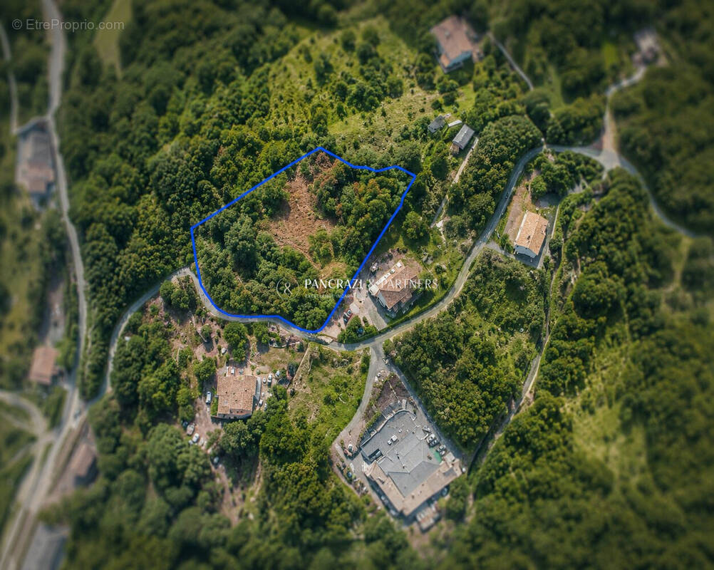 Terrain à UCCIANI