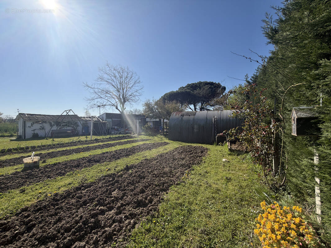 Terrain à GARGAS