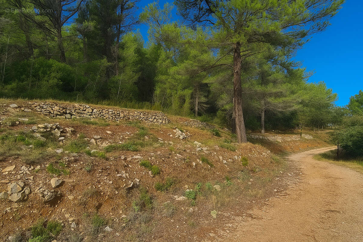 Terrain à SOLLIES-TOUCAS