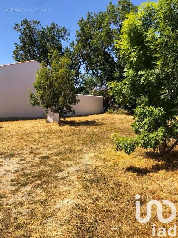 Photo 4 - Terrain à SALLES-SUR-MER