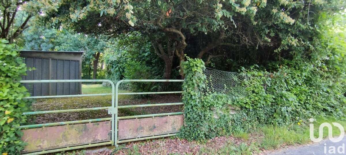 Photo 3 - Maison à SAINT-PIERRE-DE-L&#039;ILE