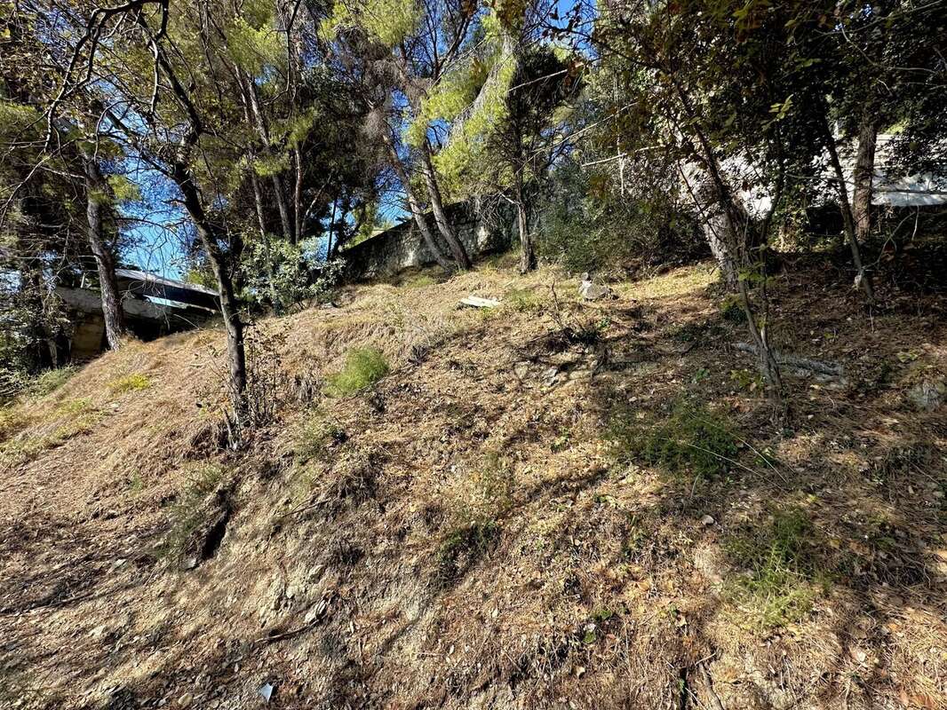 Terrain à SAINTE-AGNES