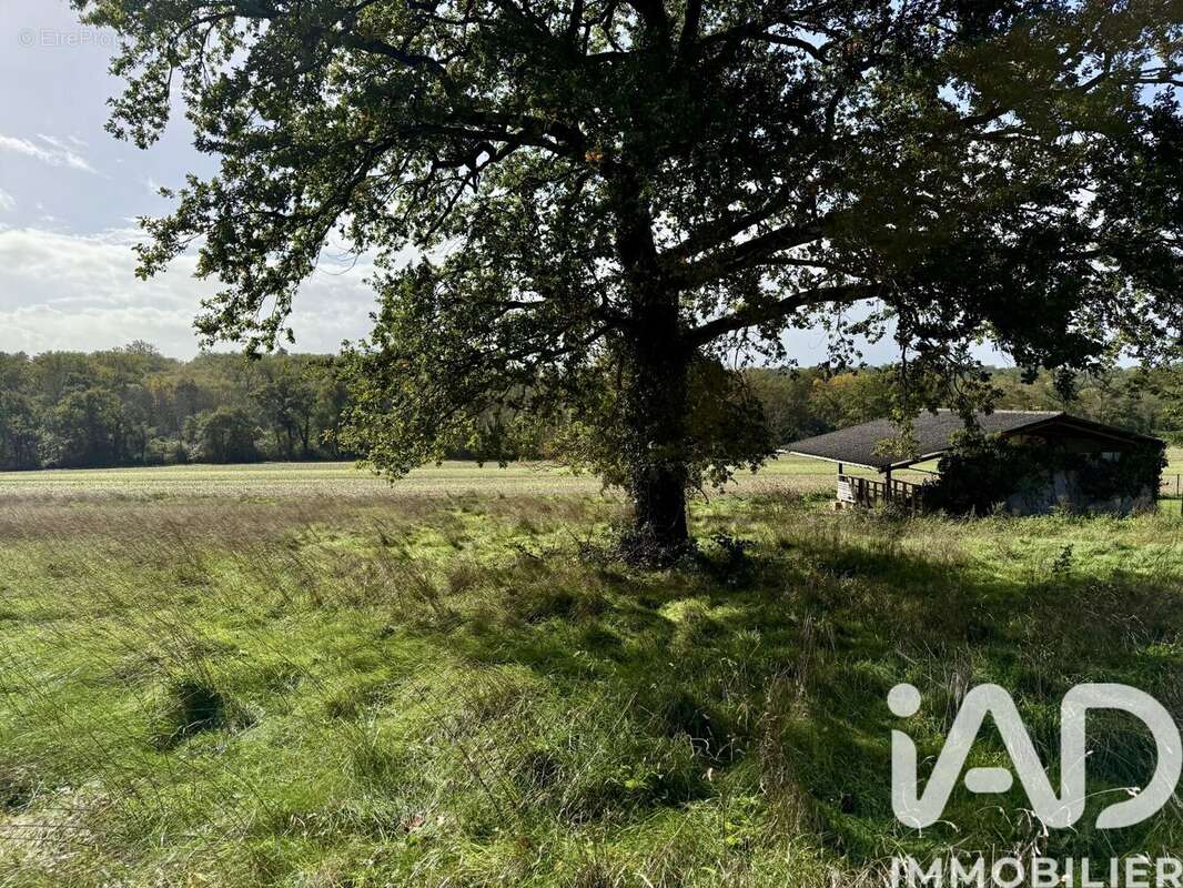 Photo 9 - Terrain à GOURDON