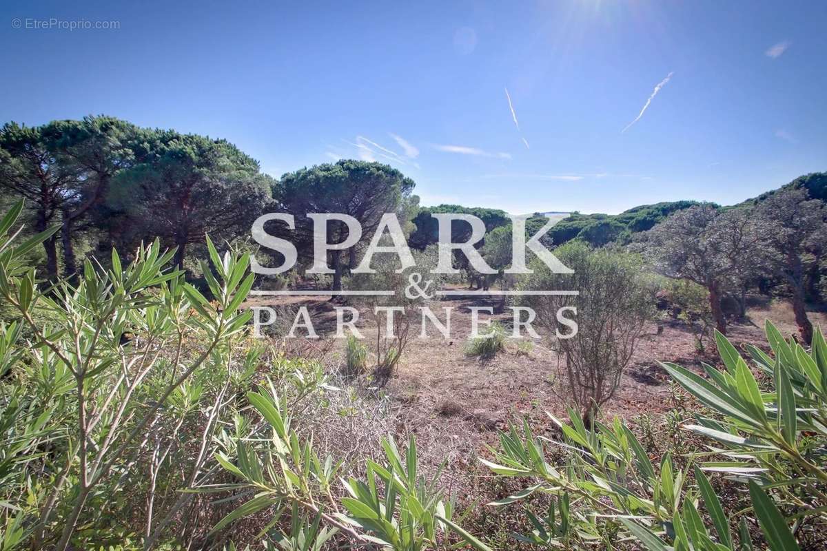 Maison à RAMATUELLE