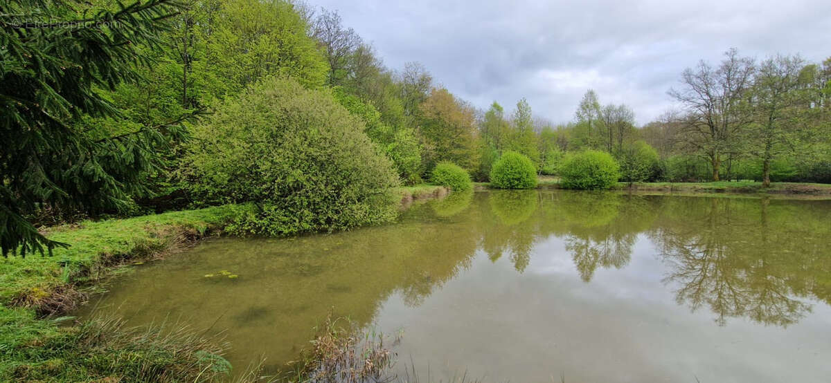 Terrain à PLANCHER-BAS