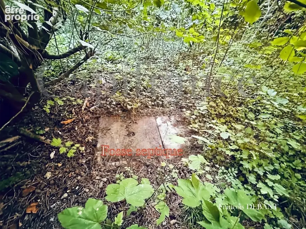 Terrain à vendre de 4 900,00 m² proche de REIMS (51) - photo 2