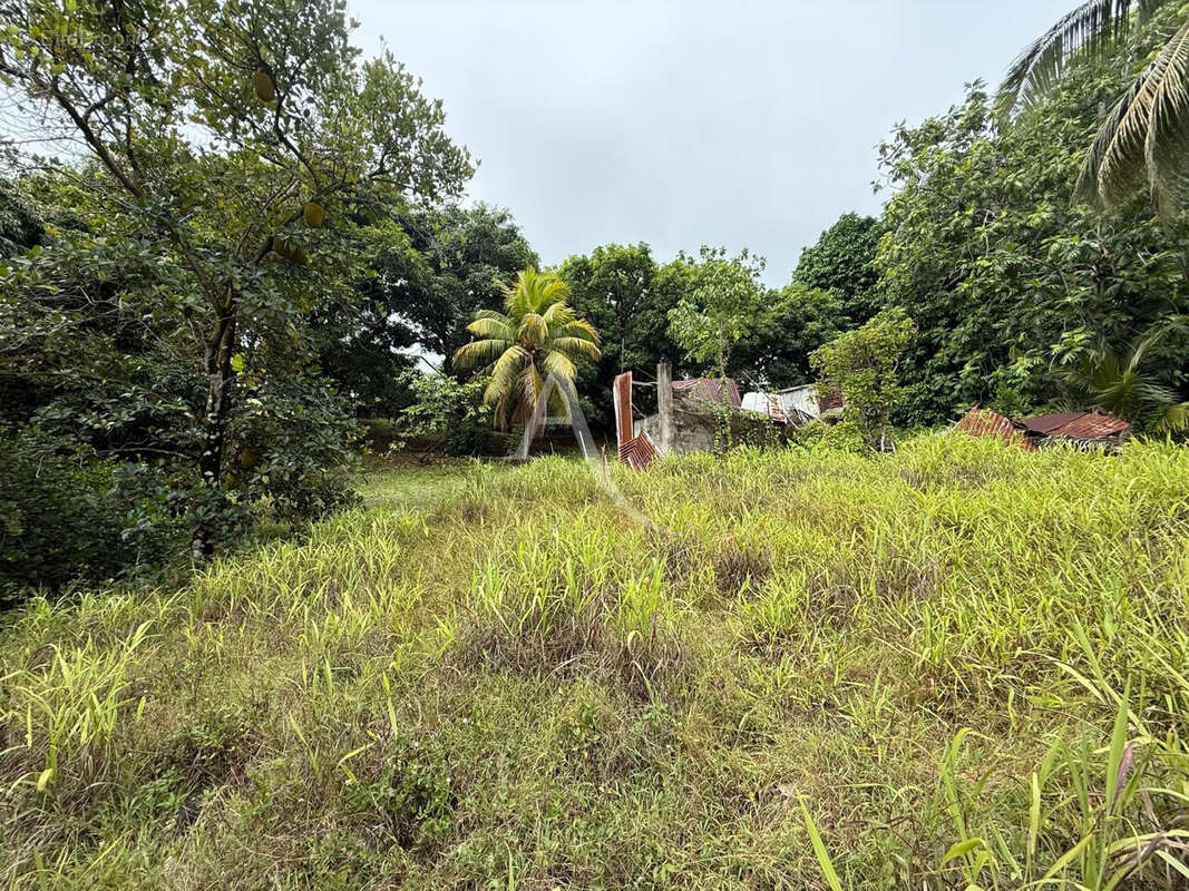 Villa de 7 chambres sur grand terrain à fort potentiel à Petit Bourg - photo 11