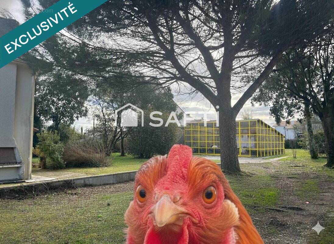 Photo 1 - Terrain à SAINT-MEDARD-EN-JALLES