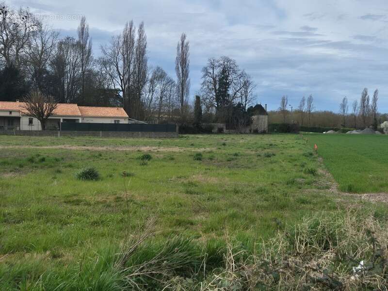 Terrain à FRONTENAY-ROHAN-ROHAN