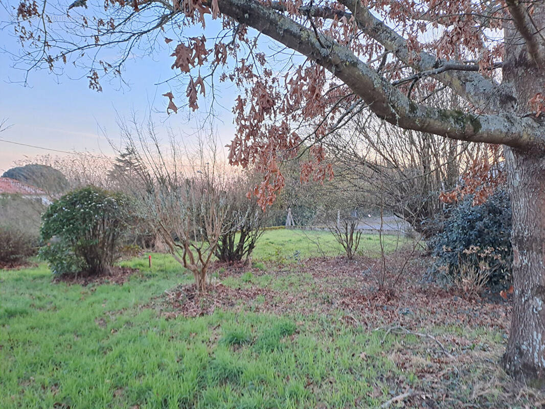 Terrain à COMMEQUIERS