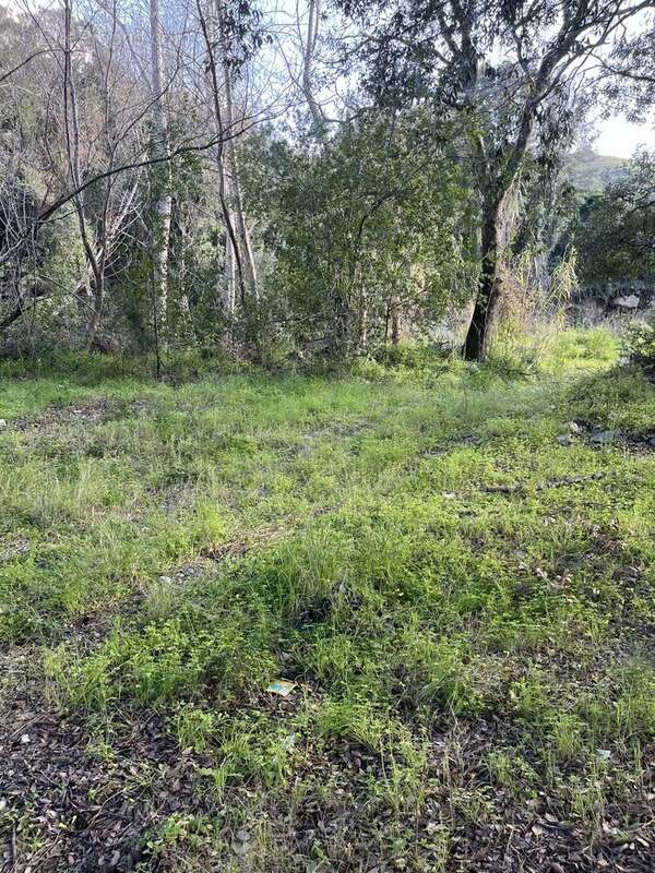 Terrain à BARBAGGIO