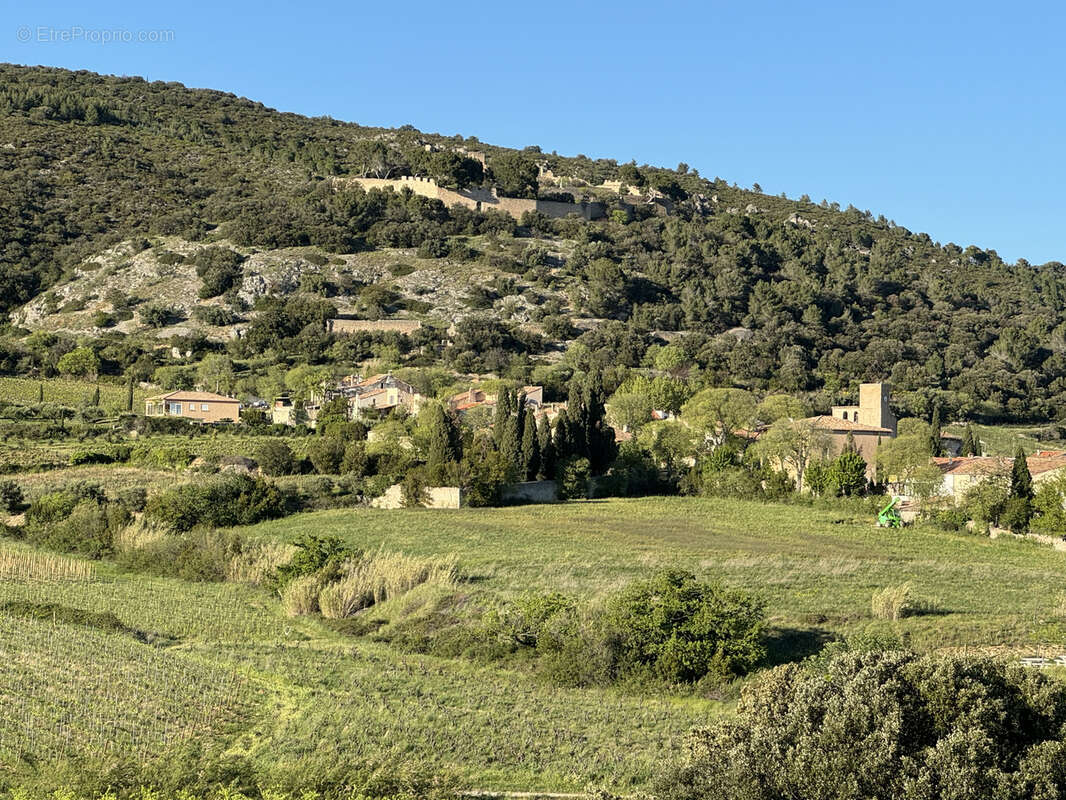 Terrain à MONTPEYROUX