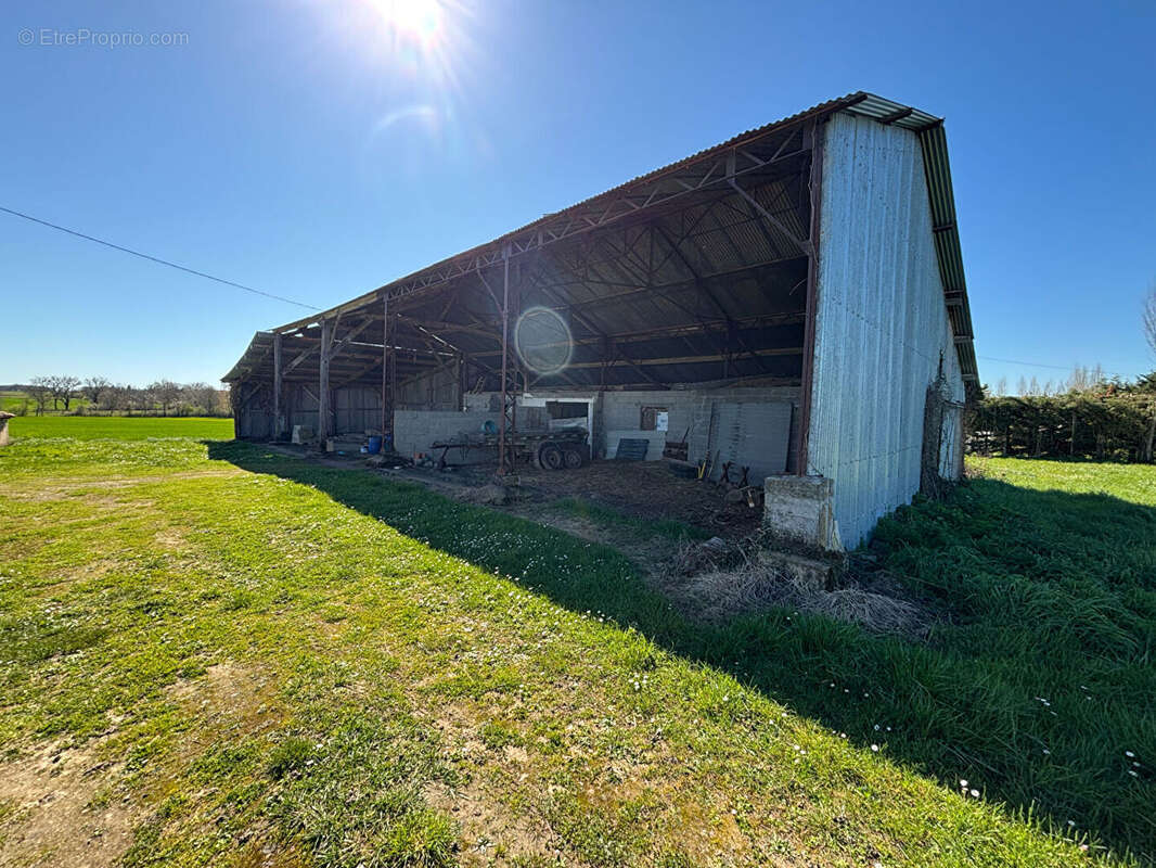 Maison à MONTREUIL-BELLAY