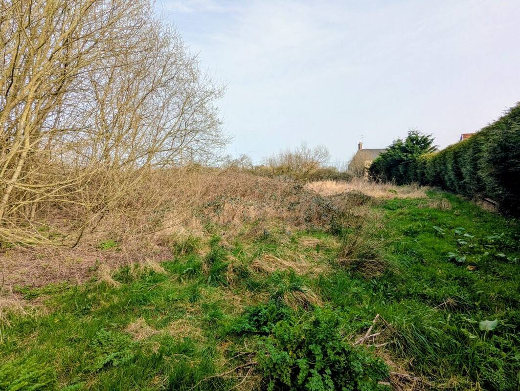 Terrain à ISIGNY-SUR-MER