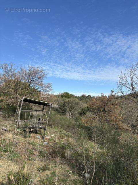 Terrain agricole 6140 m2 - photo 2
