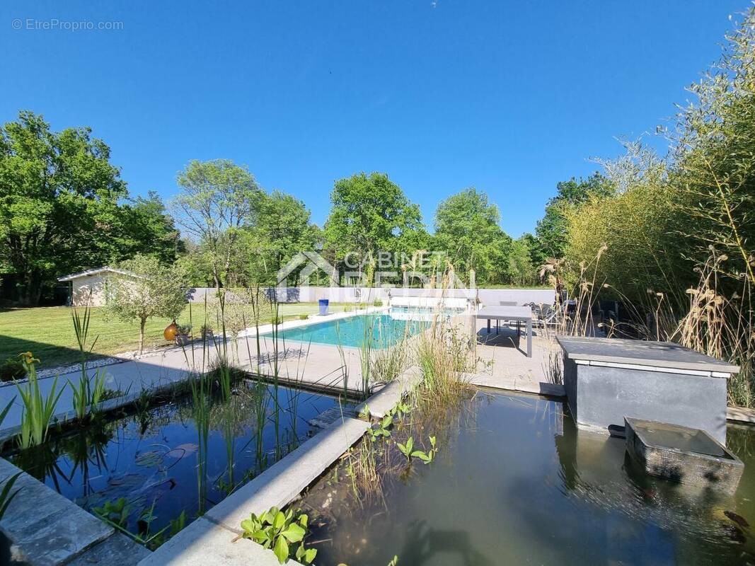 Maison à SAINT-SELVE