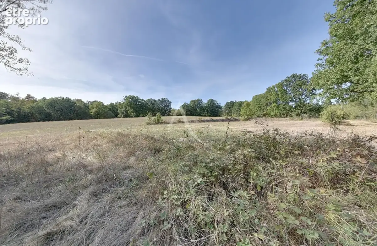 Lafrancaise : idéal pour projet de gîte ou amateurs de chevaux ! - photo 10