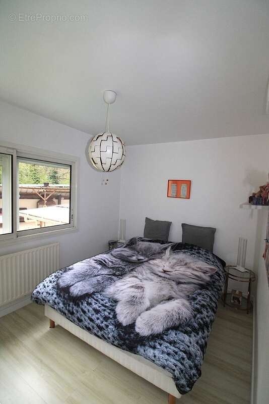 Maison à CHALO-SAINT-MARS