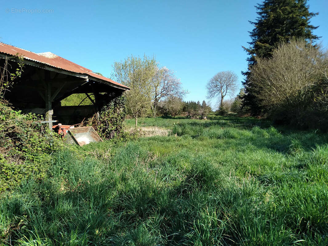Maison à TRANS-LA-FORET