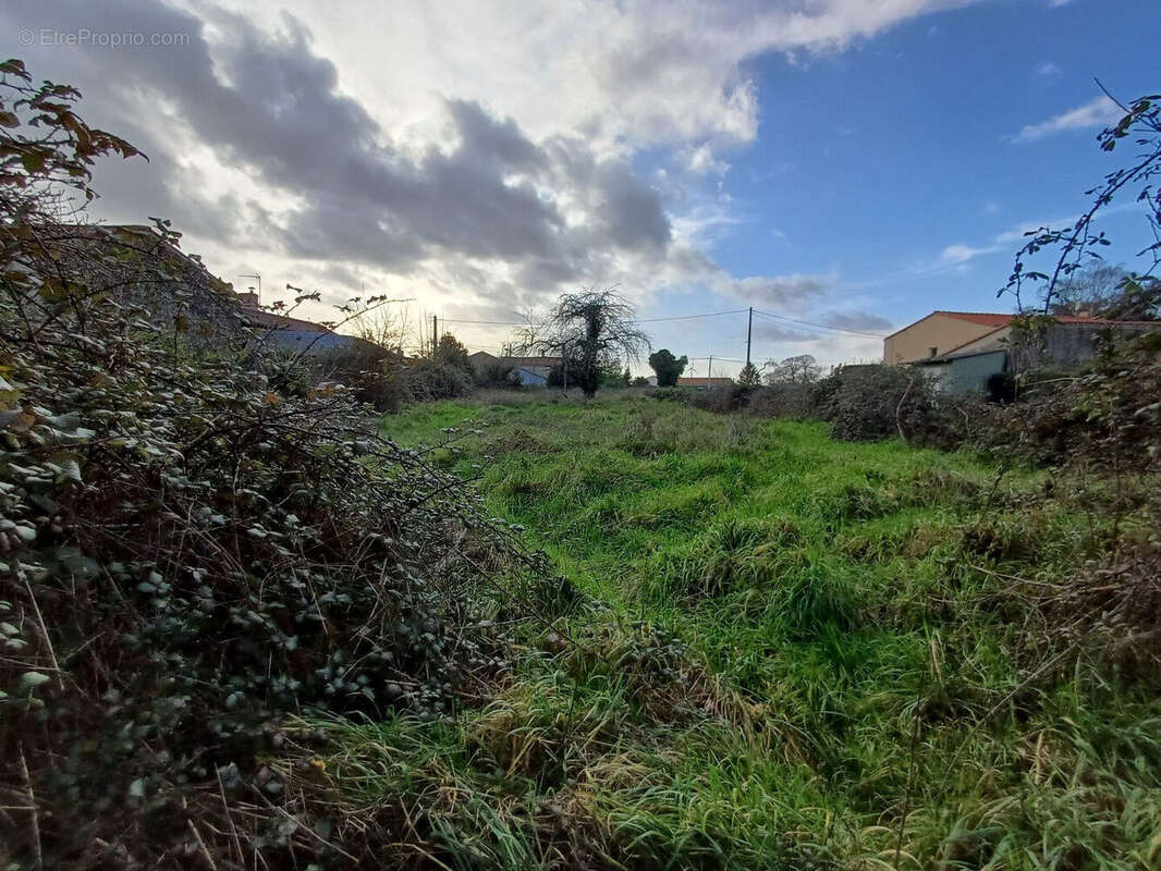 Photo 8 - Maison à SAINT-HILAIRE-DES-LOGES