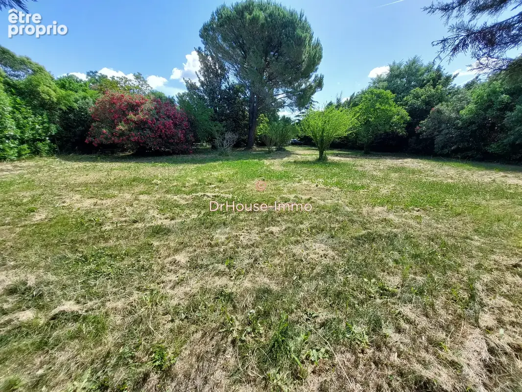 Terrain 2 700 m² à vendre à Mouries (13890) - photo 10