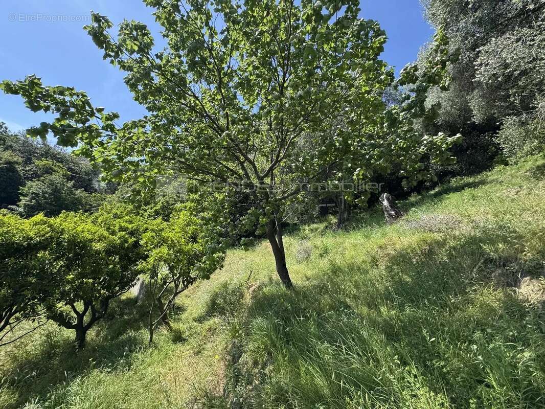 Maison a renover entierement avec terrain proche menton - photo 14