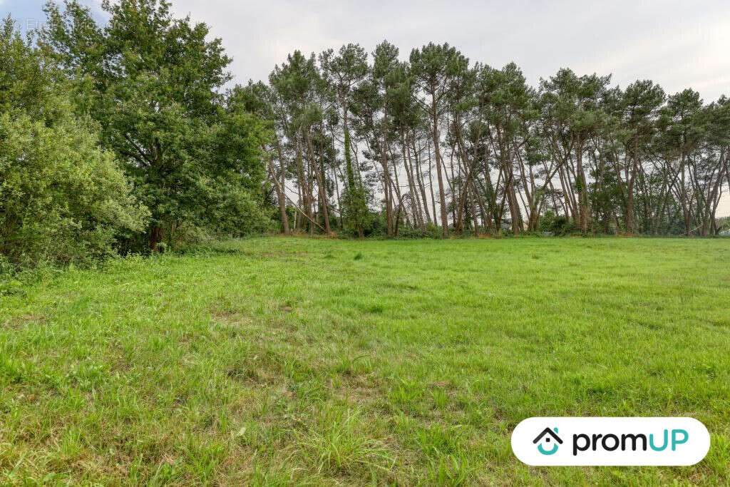 Terrain à SAINT-MARS-LA-BRIERE