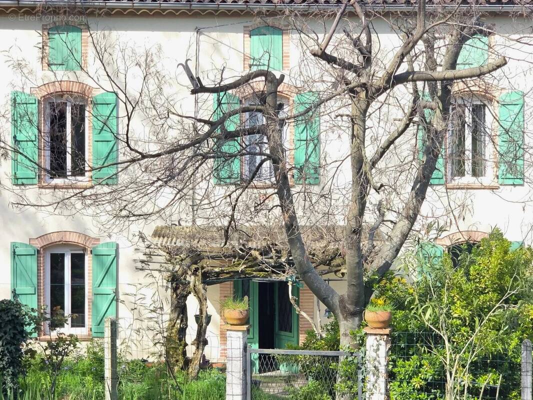 Maison à LISLE-SUR-TARN